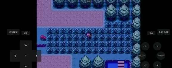 口袋妖怪燃之智凤王多少级可以遇到 凤王位置刷新条件介绍[多图]图片1