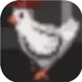 小鸡护卫队免广告