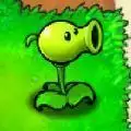 躺平植物打僵尸