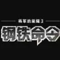 将军的荣耀3
