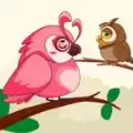 小鸟种类拼图(Bird Sort Color)