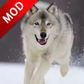狼狗模拟器