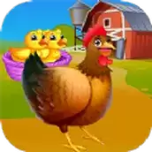 快乐小鸡动物园