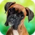 恶犬模拟器