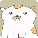 主播和猫的故事