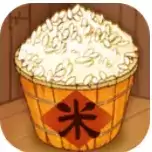 数一亿粒米大招