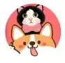 养猫达人