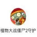 植物大战僵尸2守护