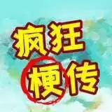 疯狂梗传