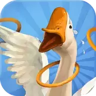 我用圈圈套大鹅
