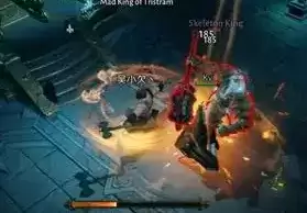 暗黑破坏神不朽骷髅王在哪3