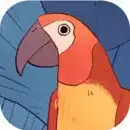 孤独的鸟儿中文版