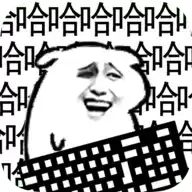 我是键盘侠