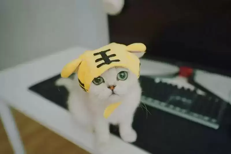 《梦幻西游三维版》暑期活动开启!新角色迎来重磅爆料