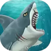 鲨鱼世界
