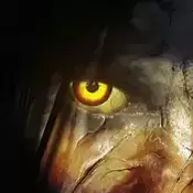 精神病院恶魔之子