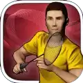 Real Badminton