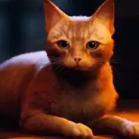 猫咪城市模拟器正