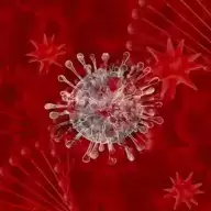 治愈公司
