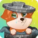 可爱的宠物狗查理