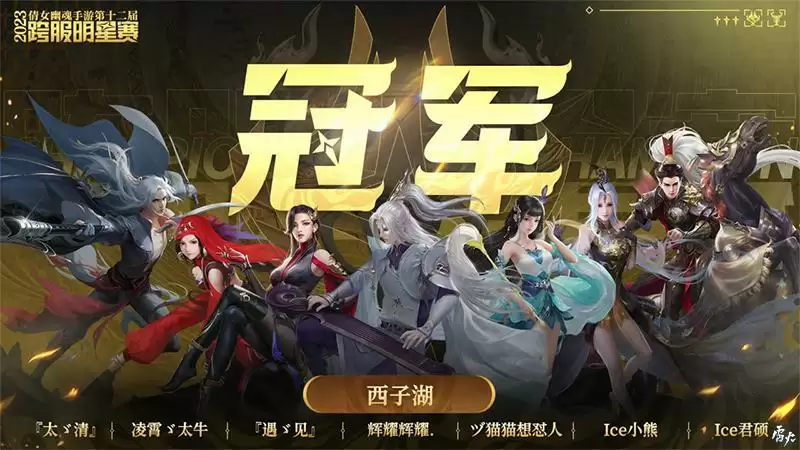 第十二届跨服明星赛圆满落幕,西子湖战队问鼎冠军