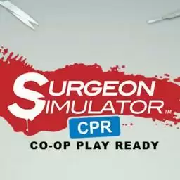 外科医生模拟器