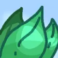 Gachanatural加查自然