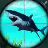 鲨鱼猎手3D