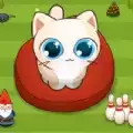 养了个猫