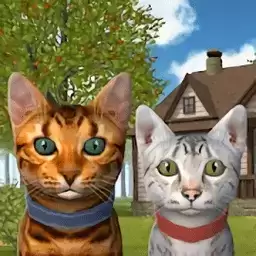 猫模拟器2023