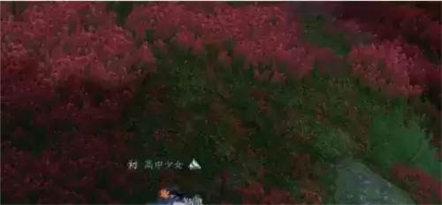 逆水寒手游昔年鹰唳怎么做1