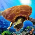 古海龟模拟器