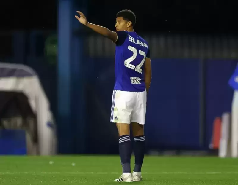 少年老成笃行志远,超级贝林踔厉奋发