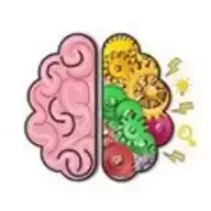 Brain Puzzle games(益智的脑力)