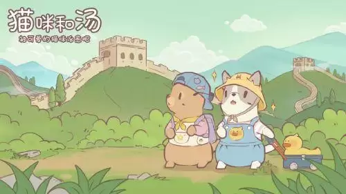 《猫咪和汤》国服制作人采访：专属内容制作中~