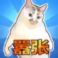 这只猫有毒2023