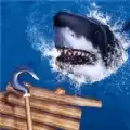 海洋筏模拟器