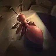 蚂蚁文明国际服