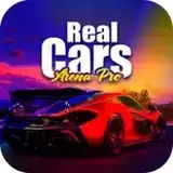 职业真车竞技场