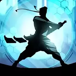 暗影格斗2特别