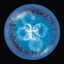 全民星球模拟器游戏