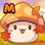 枫之谷M国际服
