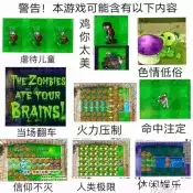 植物大战僵尸Ciaout