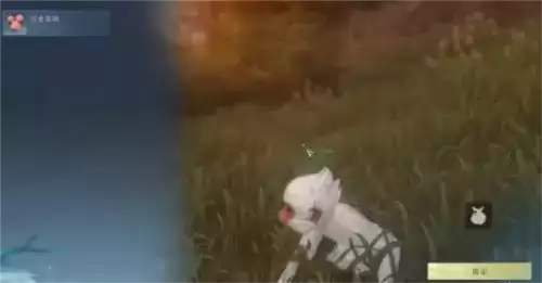 逆水寒手游仙居原动物好感度怎么提升2