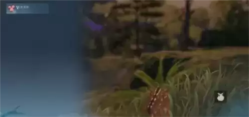 逆水寒手游仙居原动物好感度怎么提升3