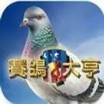 赛鸽大亨