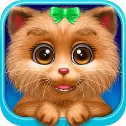 照顾猫咪小宝宝
