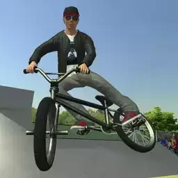 自由式极限小轮车2