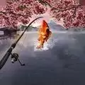 钓鱼大对决1.0.88