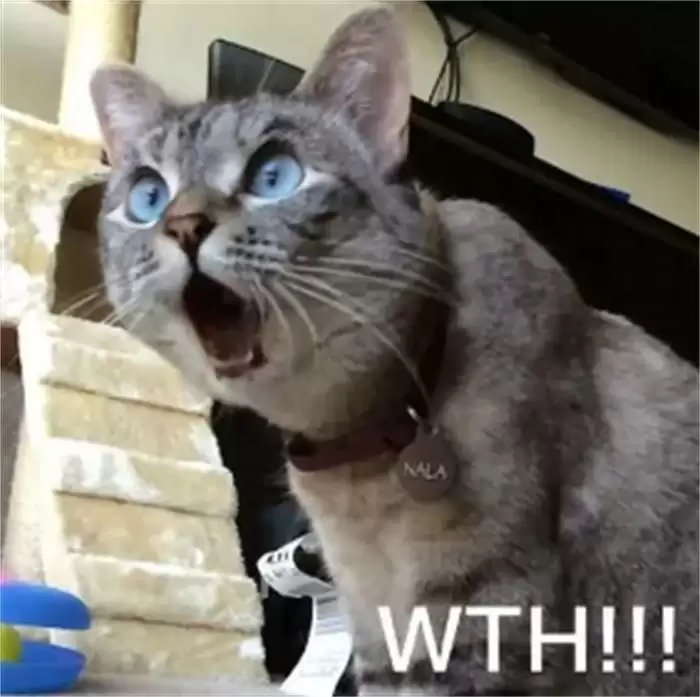 图片 2.webp 时尚版模拟人生!以闪亮之名实开启最高端的国产换装游戏先河